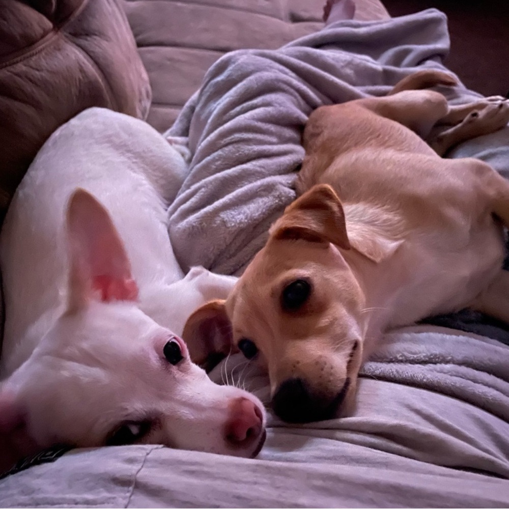 Meet your Posher, Janet.